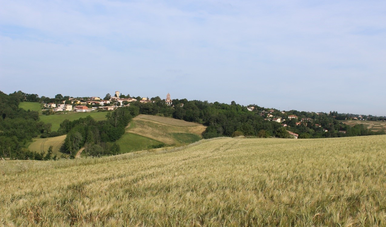 EFFAROUCHEUR